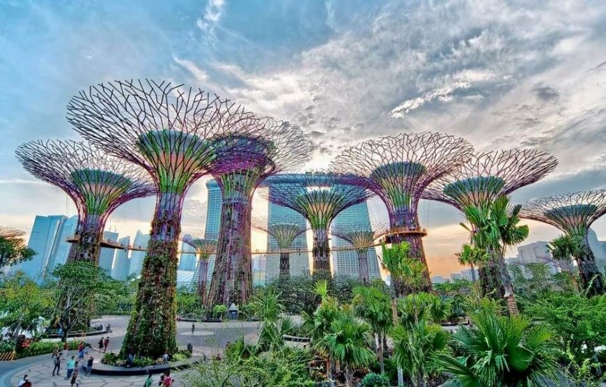 Singapore City of Supertrees