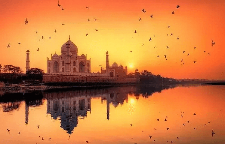 Taj Mahal – Your Dreams