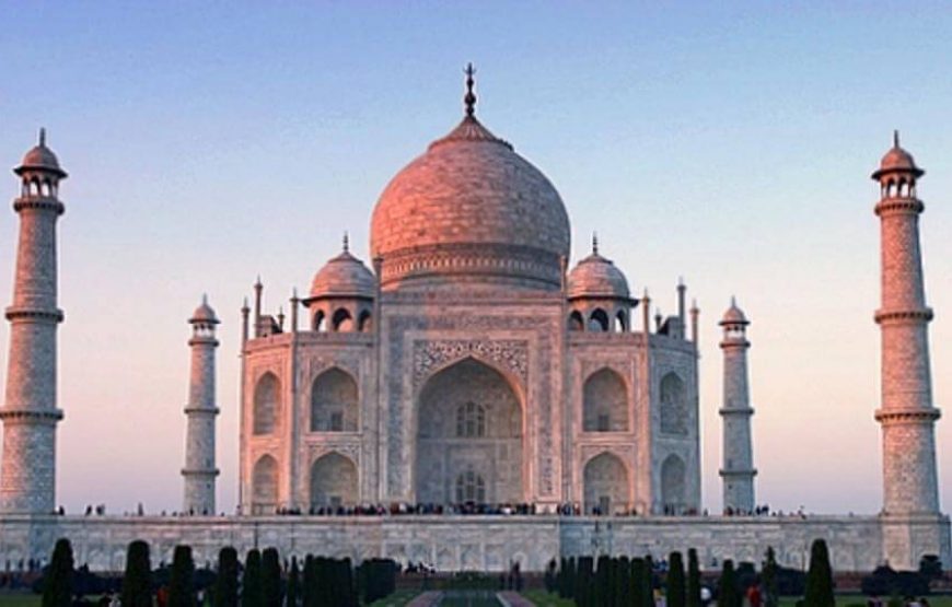 Taj Mahal – Your Dreams